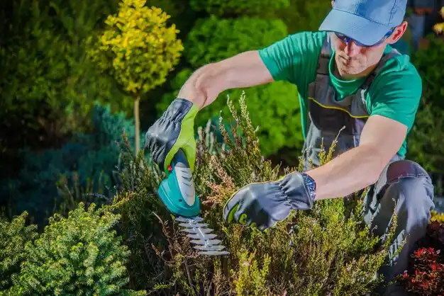 landscaping services Howells